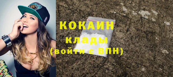 сатива Балахна