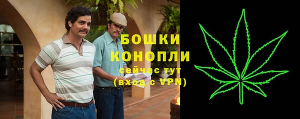 сатива Балахна