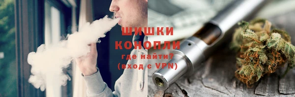 сатива Балахна