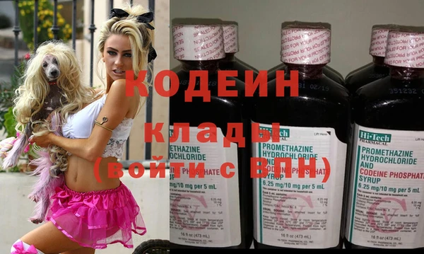 сатива Балахна