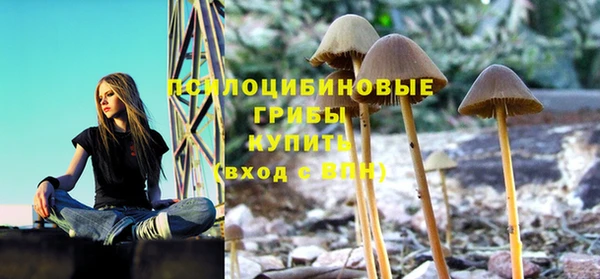 spice Баксан