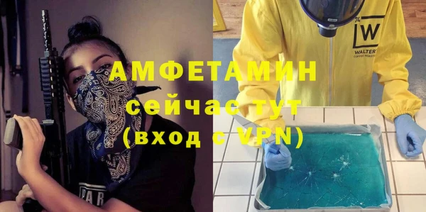 сатива Балахна